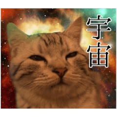 [LINEスタンプ] ごまはかせ