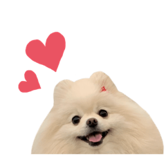 [LINEスタンプ] ポメラニアンのおかゆちゃん2