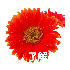 [LINEスタンプ] 日常に使える彩り花スタンプ(敬語ver)