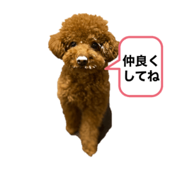 [LINEスタンプ] オバメです！