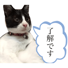 [LINEスタンプ] ちまきときどききなこ