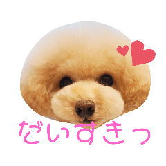 [LINEスタンプ] らにぼう