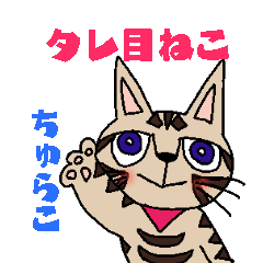 [LINEスタンプ] タレ目猫 ちゅらこ