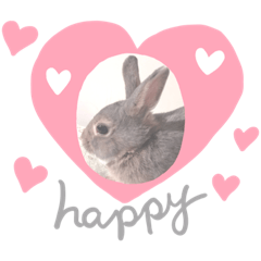[LINEスタンプ] うさぎのピザくん