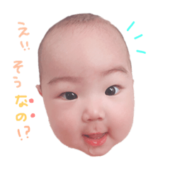 [LINEスタンプ] なのすけもっちもち