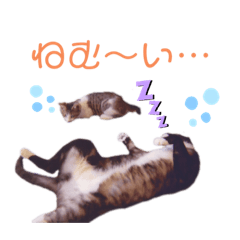 [LINEスタンプ] アールくんと愉快な仲間たち