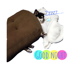 [LINEスタンプ] おうちのるいくん
