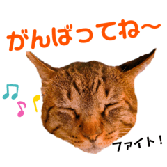 [LINEスタンプ] こいなか 円(まる)くん