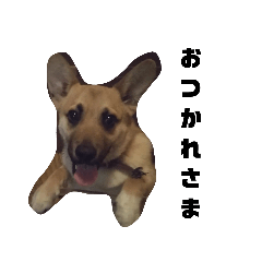[LINEスタンプ] ミックス犬ピース1