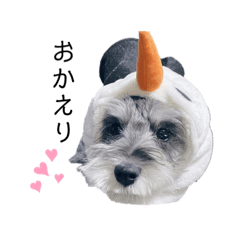 [LINEスタンプ] ファレルさん❷