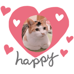 [LINEスタンプ] さくまろ