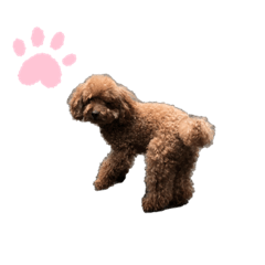 [LINEスタンプ] 山内家のロン