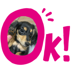 [LINEスタンプ] ダックスイスイ
