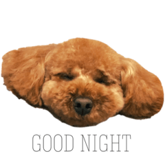 [LINEスタンプ] ぼくれんれんだよ〜！