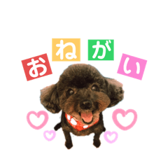 [LINEスタンプ] ぷーたろうズ