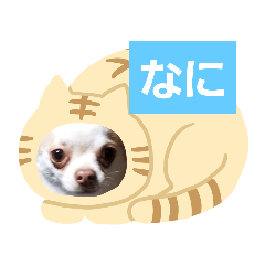[LINEスタンプ] 犬のライト