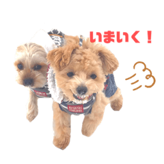 [LINEスタンプ] ことらんたの日常。