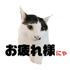 [LINEスタンプ] マロンコロンチョロ