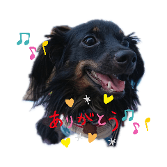 [LINEスタンプ] チワックスととろ