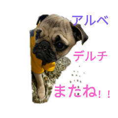 [LINEスタンプ] マメスタンプ！
