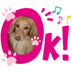 [LINEスタンプ] ちゃんひか