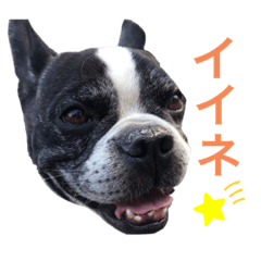 [LINEスタンプ] がくげん3