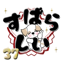 [LINEスタンプ] 【大きな文字】シーズー犬 37