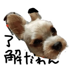 [LINEスタンプ] た、か、し