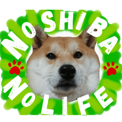 [LINEスタンプ] 柴犬コロ ③弾