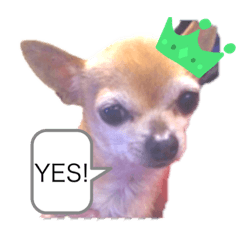 [LINEスタンプ] 鶴岡家Stamp