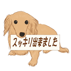 [LINEスタンプ] 住まいも心もスッキリ！