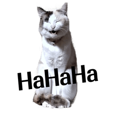 [LINEスタンプ] 城山のにゃんこたち