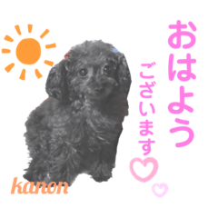 [LINEスタンプ] かのんとくぅと時々アリア