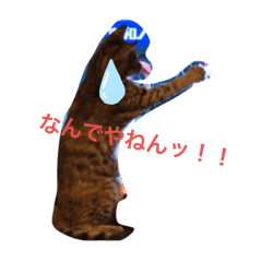 [LINEスタンプ] モモたんちゃんスタンプ
