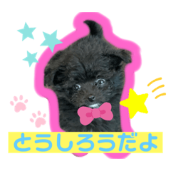 [LINEスタンプ] とうしろうスタンプ