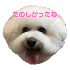 [LINEスタンプ] ソラト③