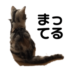 [LINEスタンプ] おだんご3