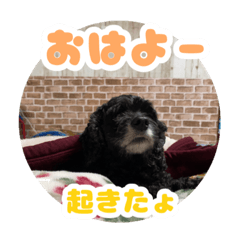 [LINEスタンプ] ビビのすたんぷ。
