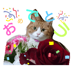 [LINEスタンプ] チャミ日和 その5