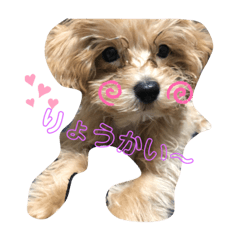[LINEスタンプ] エル❤︎コロモ❤︎