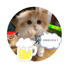 [LINEスタンプ] もぉこマロ