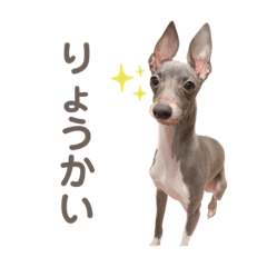 [LINEスタンプ] パオラ＆オルタ