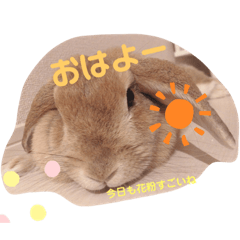 [LINEスタンプ] うさぎのおこげの日常