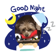 [LINEスタンプ] イヴバーバ
