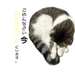 [LINEスタンプ] 毎日使えるゆずむぎスタンプ