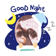 [LINEスタンプ] 可愛い仲間たち‼