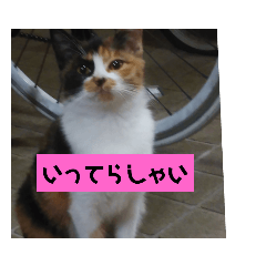 [LINEスタンプ] みや いい子