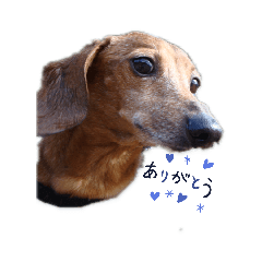 [LINEスタンプ] チカ スタンプ