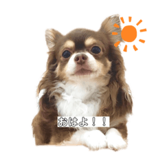 [LINEスタンプ] 佐藤リク