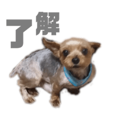 [LINEスタンプ] しゅー！